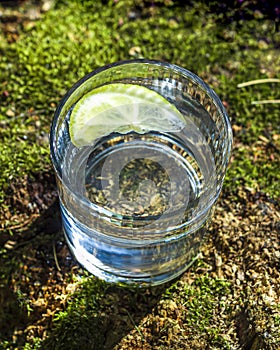 Glass of clean fresh water with lemon on tree stump with moss against green natural background. Spring ecologically pure water.