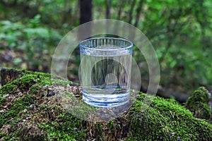 Glass of clean fresh water on tree stump with moss against green natural background. Spring ecologically pure water. World Water