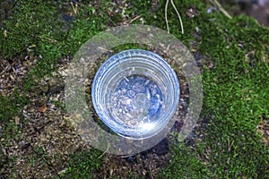 Glass of clean fresh water on tree stump with moss against green natural background. Spring ecologically pure water. World Water