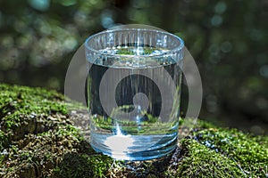 Glass of clean still water on tree stump with moss against green natural background. Spring ecologically pure water. World Water