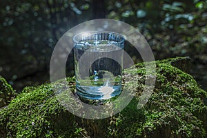 Glass of clean still water on tree stump with moss against green natural background. Spring ecologically pure water. World Water