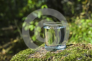 Glass of clean still water on tree stump with moss against green natural background. Spring ecologically pure water. World Water