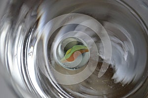 Glass clicker - close up.