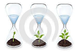Glass clocks With sprouts and water. Vector