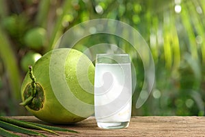 Glass of coconut juice with coconut tree