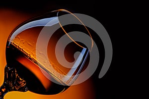 Glass of cognac close up in front of dark gradient background