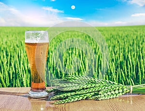 Glass of cold beer at sunset on the background of wheat field and blue sky. Recreation and relax. Fresh brewed ale.
