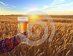 Glass of cold beer at sunset on the background of wheat field and blue sky. Summer landscape. Fresh brewed ale.