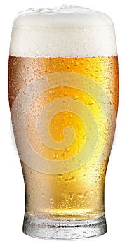 Glass of cold beer on a white background.