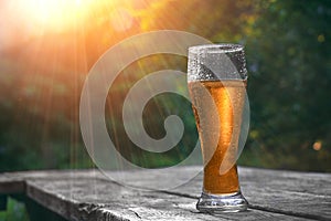 Glass of cold beer on the wooden table in sun rays at the nature background . Still life at sunset. Vacation and summer mood.