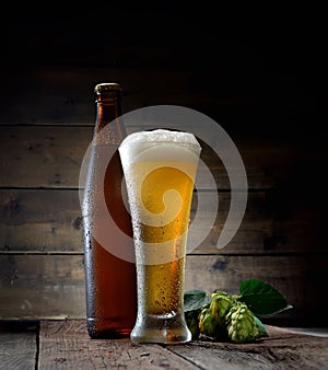Glass of cold foamy beer brown bottle of beer and hop on a dark wooden background