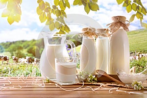 Glass containers filled with cow milk in a meadow