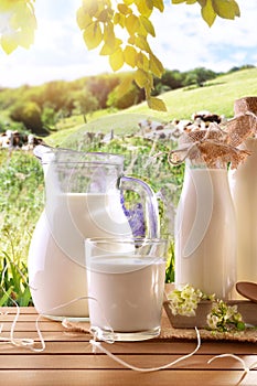 Glass containers filled with cow milk in a meadow vertical