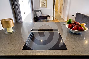 Glass Cooking Hob photo