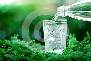 A glass of cool fresh water on natural green background