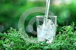 A glass of cool fresh water on natural green background