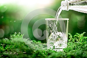 A glass of cool fresh water on natural green background