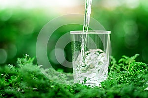 a glass of cool fresh water on natural green background