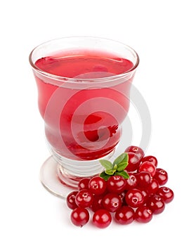 Glass of cranberry juice photo