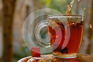 Glass cup of black tea with teabag vaporing on table with autumn trees in background