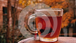 Glass cup of black tea with teabag vaporing on table, autumn trees in background