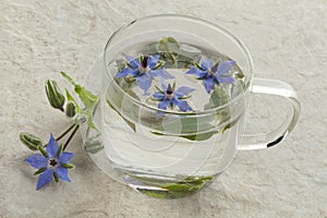 Glass cup with borage tea