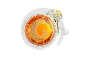 Glass cup of chamomile tea isolated on background