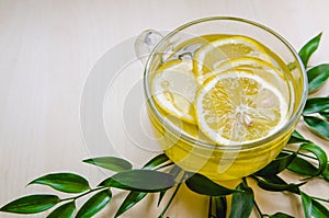 Glass cup of ginger tea with lemon served round frame green leaves ruscus flowers on a light wooden rustic wall