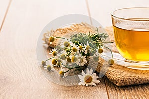 Glass cup of green tea with white chamomile flowers