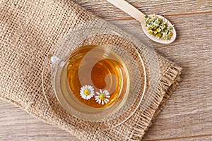 Glass cup of green tea with white chamomile flowers
