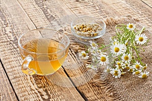 Glass cup of green tea with white chamomile flowers in a glass jar