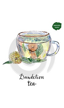 Glass cup of healthy dandelion tisane tea in watercolor. Herbal