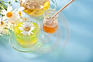 Glass cup of healthy herbal camomille tea with camomille flowers and jar of honey on the blue background. Naturopathy. Matricaria photo