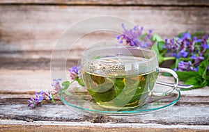 A glass cup of herbal catmint tea
