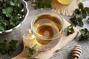 A glass cup of herbal tea with fresh stinging nettle