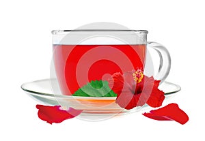 Glass cup hibiscus tea with hibiscus flower and petals isolated