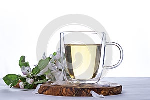 Glass cup of hot green tea with flowering apple tree branch on wooden stand on white background