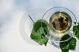 Glass cup of mulberry leaf tea on white table background. Healthy drinks concept. Herbal tea in glass cup and fresh mulberry
