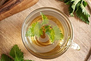 A glass cup of nettle tea with fresh nettles, top view