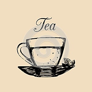 Glass cup of tea isolated.Vector transparent mug and saucer illustration.Hand drawn sketch of soft drink for menu design