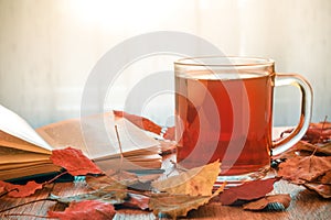 Glass cup of tea and opened book on table with autumn leaves. Sunlight in the window