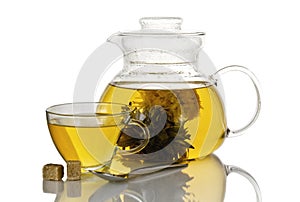 Glass cup and teapot of Japanese green tea on isolated on white background.