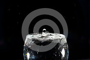 A glass cup, transparent, with water inside and a drop splashing upwards