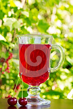 The glass with dark red cherry juice and cherries on a natural background