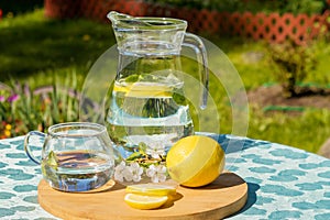 A glass decanter filled with refreshing lemon water to quench your thirst on a hot day.