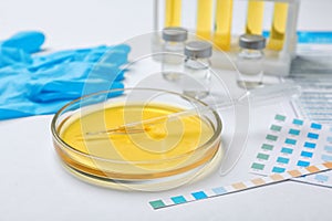 Glass dish with urine on table. Urology concept