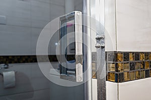 Glass door with a chrome handle in the bathroom, which is lined with decorative ceramic tiles.