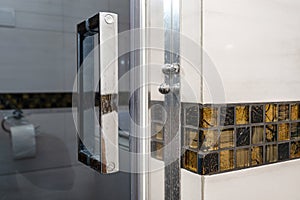 Glass door with a chrome handle in the bathroom, which is lined with decorative ceramic tiles.