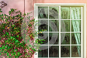 Glass door with condensation and a tree, high humidity. Texture of water on a glass.