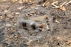 A glass drinking bottle amongst severely burnt Eucalyptus trees after a bushfire